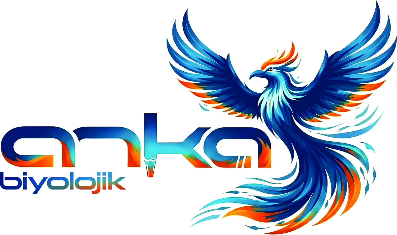 Anka Biyolojik Anka Biyolojik